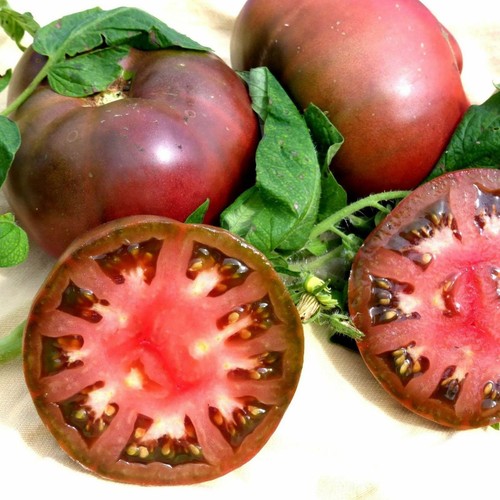 TOMATO - Cherokee Purple (85 Seeds) BULK Heirloom Variety - Picture 2 of 2