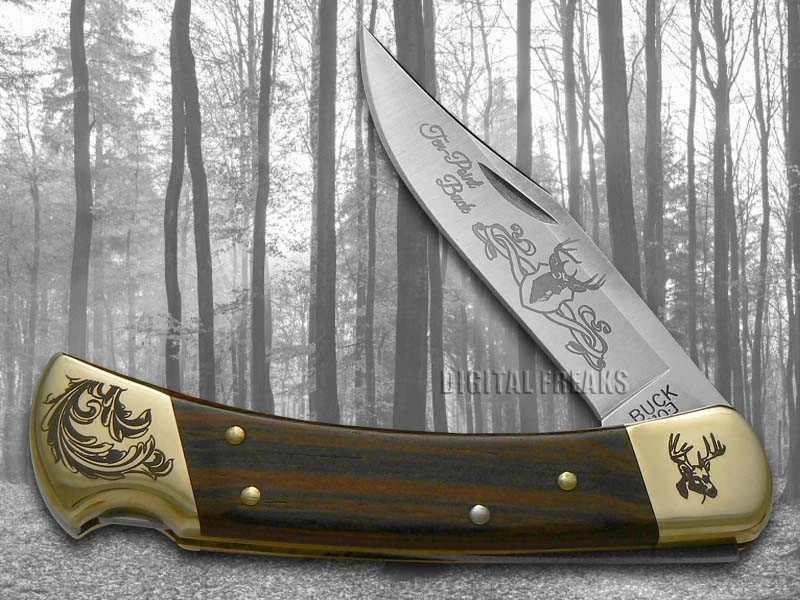 Buck 110 折叠猎人刀十点巴克乌木不锈钢口袋刀 — 第 2/4 张图片