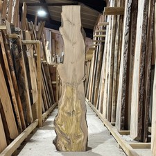Holly Wood Slab Plank Waney Live Edge Kiln Dried Hardwood 1500 x 360 x 39