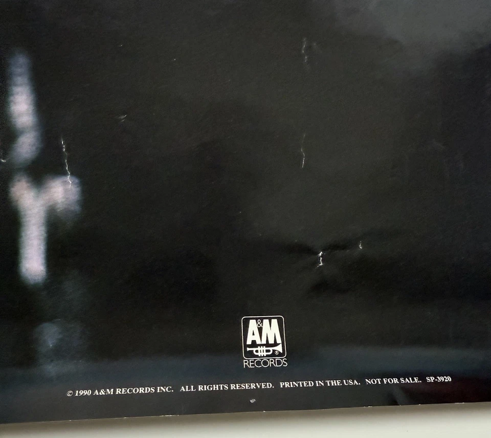 Vintage Janet Jackson Poster 1990 36x24 A&M Records Portrait Smiling Music 90s - Image 2 of 4