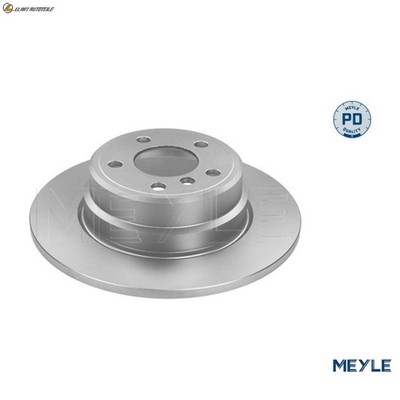 2x BREMSSCHEIBE 315 523 0042/PD FÜR BMW X5E53 M57D30 M54B30 3.0L M57D30 2.9L