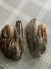 Pheasant wings 2 full wings Feathers, Fly material, crafts, milinary large ones