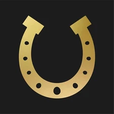 Horseshoe Vinyl Decal Helmet Laptop Luck Race Horse Shoe Sticker