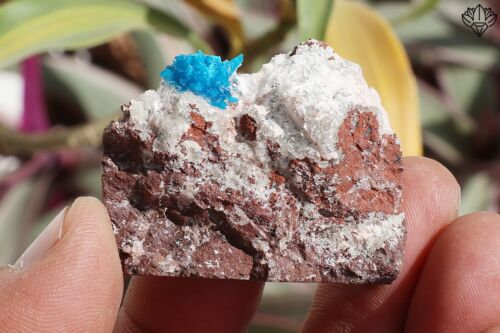 Pequeña cavansita deslumbrante sobre base métrica minerales de heulandita 34 g muestra áspera - Imagen 3 de 6