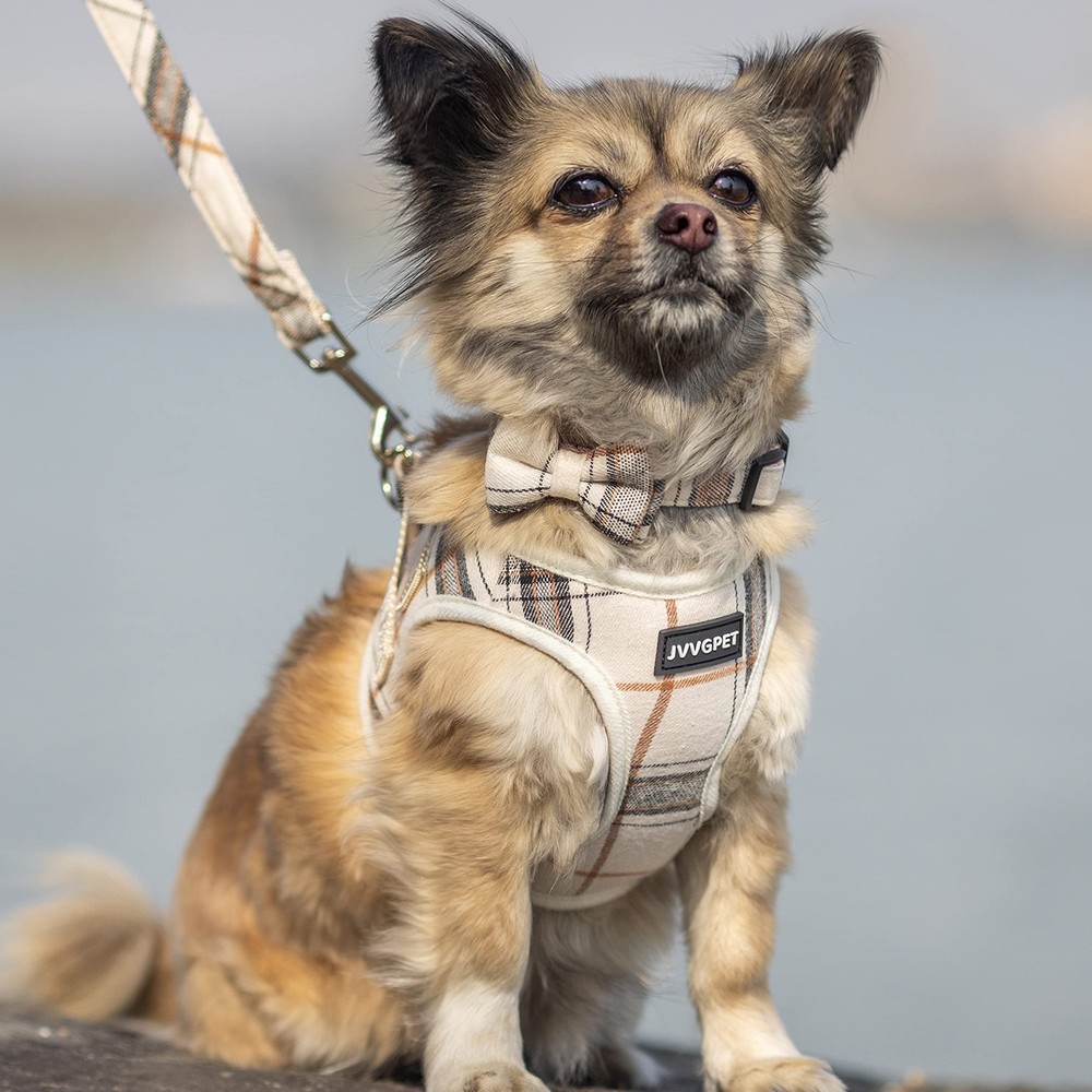 Dog Harness for Small Dogs - Plaid No Pull Dog Vest Harness and Lea... Fast Ship