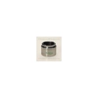 Kolben, Bremssattel Triscan 8170 234026 FüR