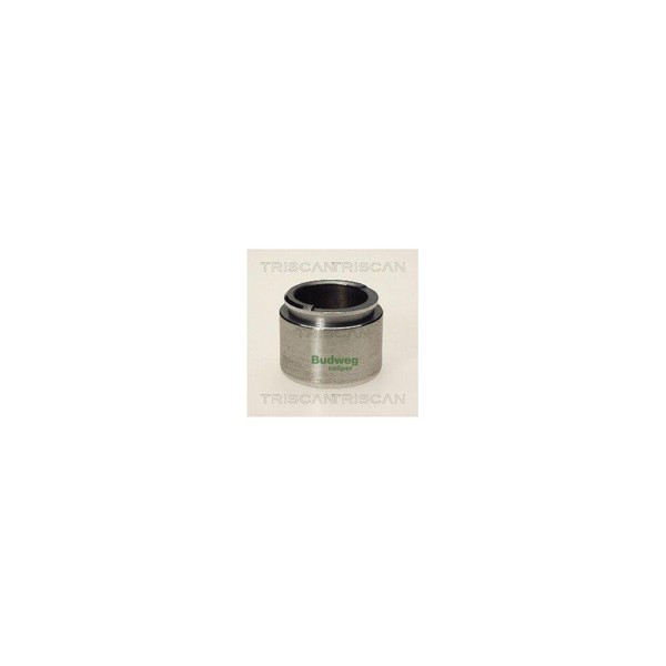 Kolben, Bremssattel Triscan 8170 234026 FüR-image