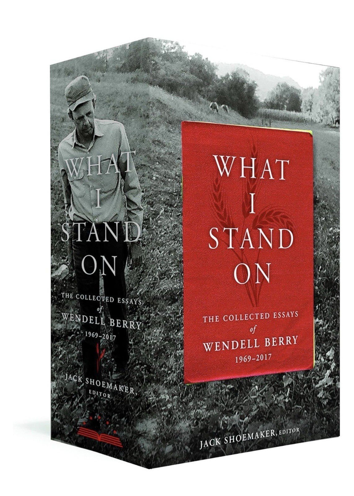 What I Stand On - 9781598536102