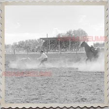 50s CROW TRIBE BIG HORN COUNTY MONTANA AGENCY FIELD HORSE VINTAGE USA Photo 9699