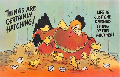Hen & Chicks-Old Comic Linen PC-Things Are Hatching! Life Is Just One Darned Thi