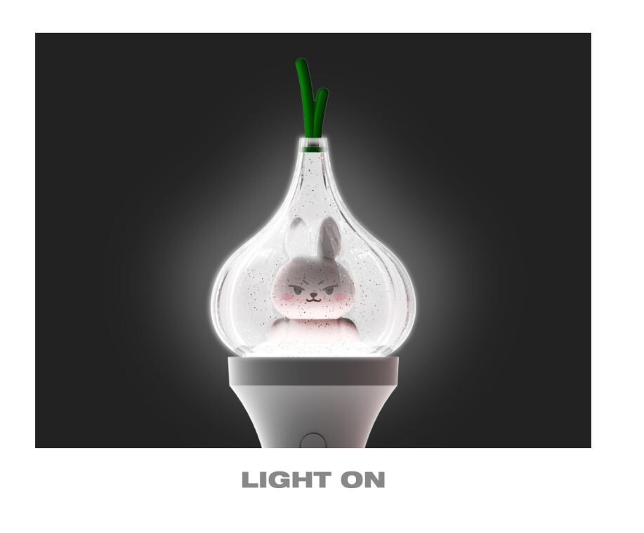 JAY PARK Official Light Stick | eBay