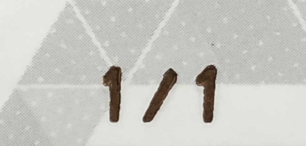 Picture 12 of 20