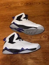 Jordan True Flight Dark Concord