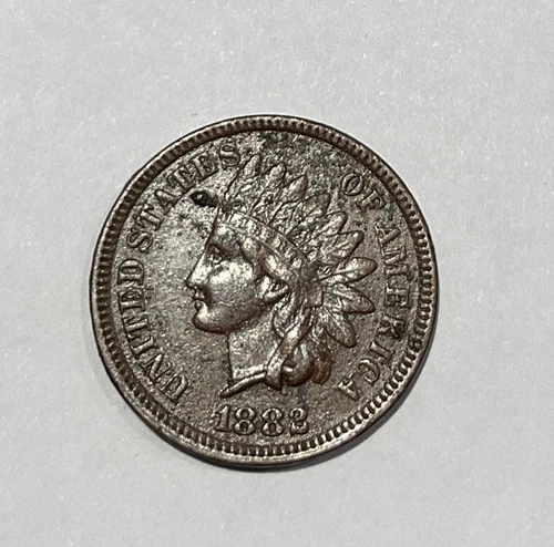 1882 1c Indian Cent XF Details. Corrosion Spots