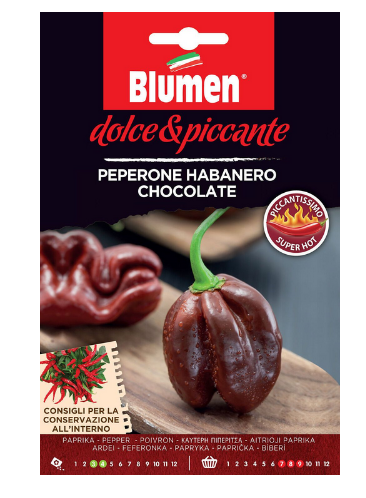 BLUMEN DOLCE & PICCANTE SEMI DI PEPERONE HABANERO CHOCOLATE piccantissimo
