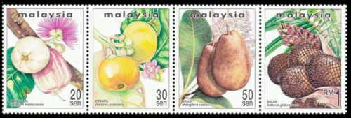 *ENVÍO GRATUITO Frutas raras de Malasia (II) 1999 alimento vegetal flora flora (estampilla) montada sin montar o nunca montada - Imagen 1 de 5