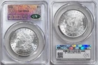 1880-P Morgan Silver Dollar CAC MS64, VAM 43, Trader Bea BERT CACG Free Shipping