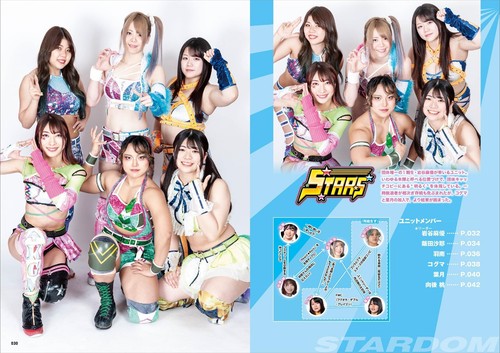 STARDOM Fan Japanese book 2 Pro Wrestling Tam Nakano Julia Mayu Iwatani Shuri - Foto 2 di 9
