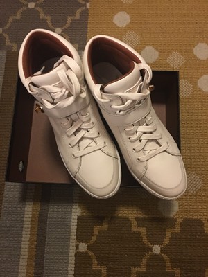 coach pembroke sneaker