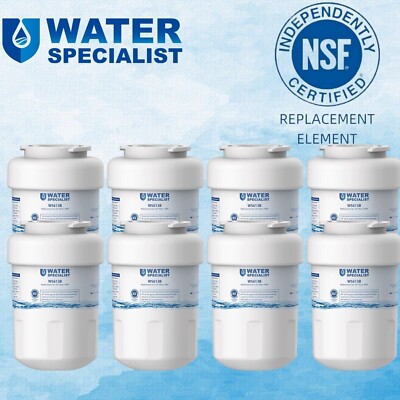 Waterspecialist MWF Refrigerator Water Filter,Replacement for GE  SmartWater MWF