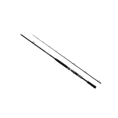 SHIMANO 23 DEEPGAME 150-210 Offshore Boat Rod | eBay