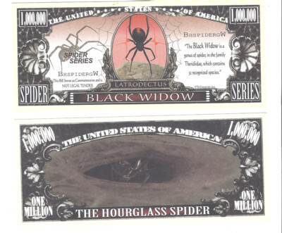 Dollar Spider Black Widow, Black Widow 