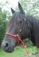 Bosal Bitless Bridle Attachment