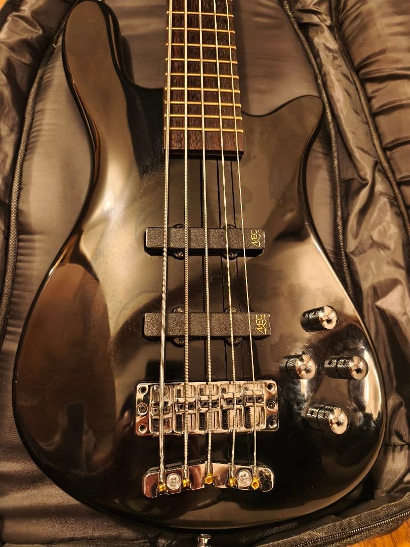 Warwick Streamer Lx5 Pro Series Made In Korea | eBay