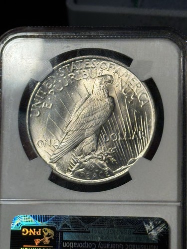 1923 Peace Silver Dollar NGC MS66 - Picture 5 of 6
