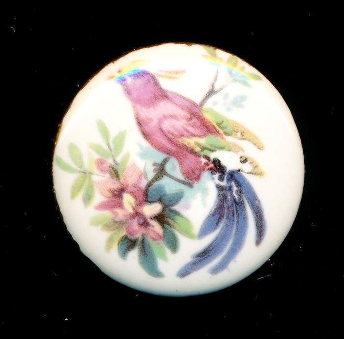 Hand Painted Button, Colorful Tropical Bird on Porcelain