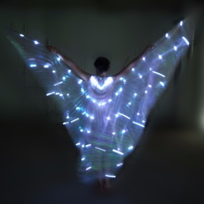 Women Girl Kid LED Isis Wings Costume Belly Dance Festival Club LED Angel Wings