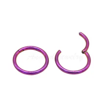 20G 18G 16G 14G Purple Color HINGED Segment Nose Ring Septum Clicker Daith Hoop