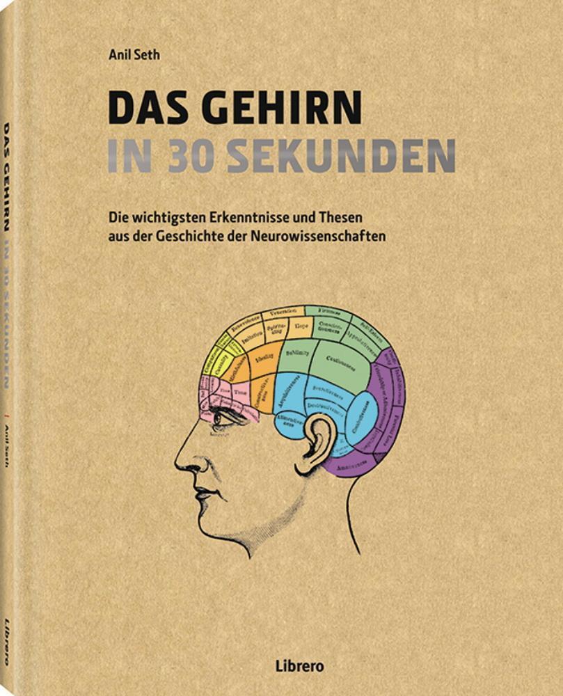 Das Gehirn In 30 Sekunden Anil Seth