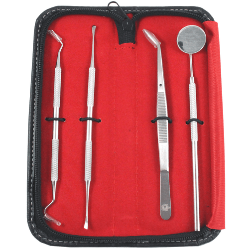 Dental Teeth Cleaning Kit Dentist Floss Plaque Remover Oral Care Tooth Tools - Picture 3 of 8