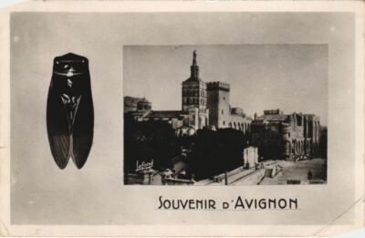 Old postcard Avignon Ensemble du Palais des Papes et N.-D. Des Doms (1086310)