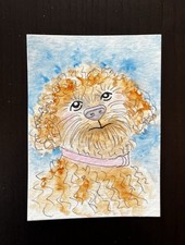 ACEO Original Watercolor Painting “Shih Tzu” By Connie Kline 2.5x3.5”