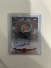 2025 Topps Universe WWE Wrestling Checklist Guide in-content 29