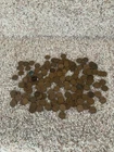 1.1lb  Bulk Lot Of Wheat Pennies Lincoln Cents Mixed Dates Mint Marks UNSEARCHED