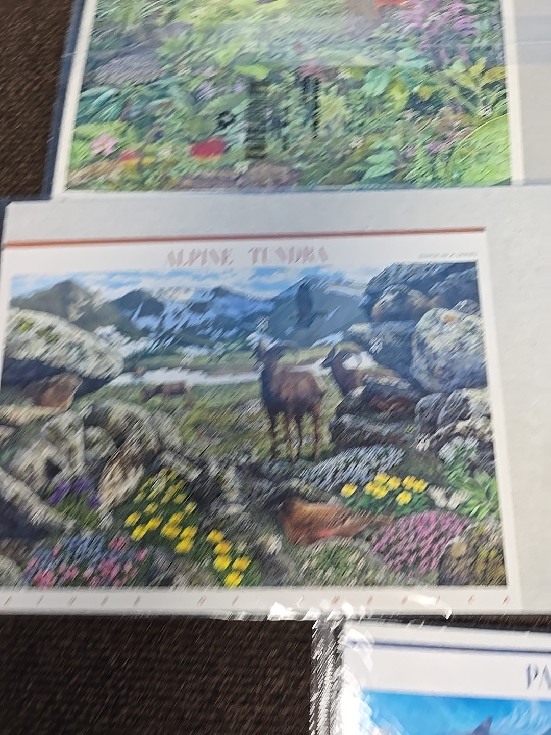 Picture 8 of 15