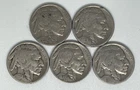 1928 1929 1934-D 1936 1937 Buffalo Nickel Lot of 5