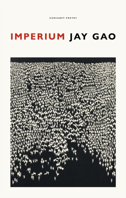 Imperium by Jay Gao PAPERBACK 9781800172470
