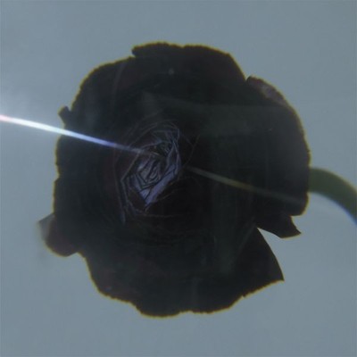Pablo'S Eye Dark Matter (Vinyl) (UK IMPORT)