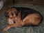 rusty.nail