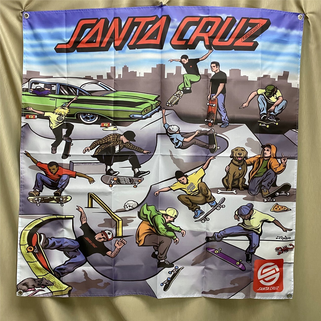 Santa Cruz Flag Skateboards Team Demo Tour Banner Tapestry 4x4ft Art Poster
