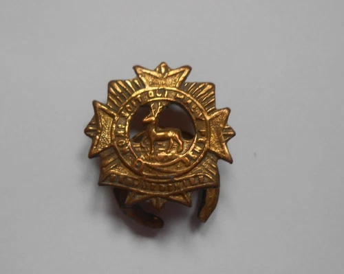 ww1 lapel badge of the BEDFORDSHIRE REGIMENT   ex serviceman