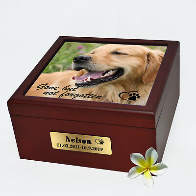 dog ashes memorial box