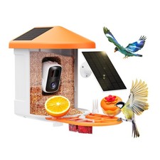 Smart Bird Feeder with Camera AI Identify Birds 2K HD Video Stream Orange Solar