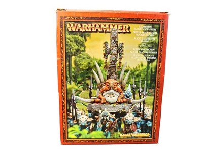 NEU Warhammer Lizardmen Echsenmenschen Slann Mage Priest Metal Rare