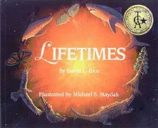 Lifetimes by David Rice: Used