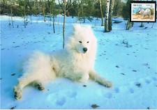 Biżuteria Somoede 1.2